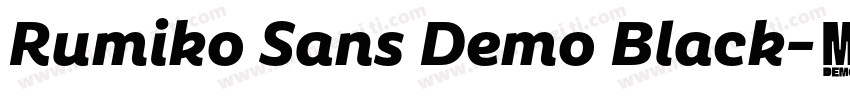 Rumiko Sans Demo Black字体转换